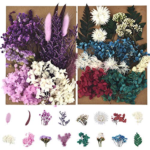 Dried Pressed Flowers for Soap Candle Making and Resin Jewelry Making Pressed Flower (Purple Blue Set)