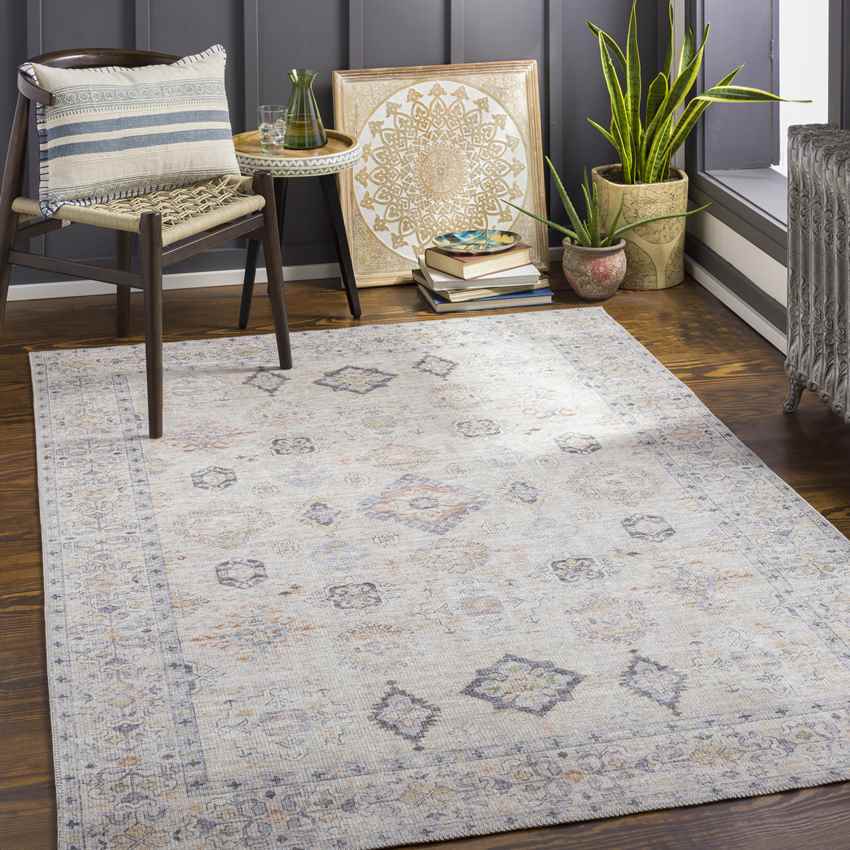 North Utica Traditional Beige Washable Area Rug