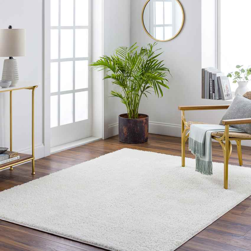 Richlawn Modern Light Beige Washable Area Rug