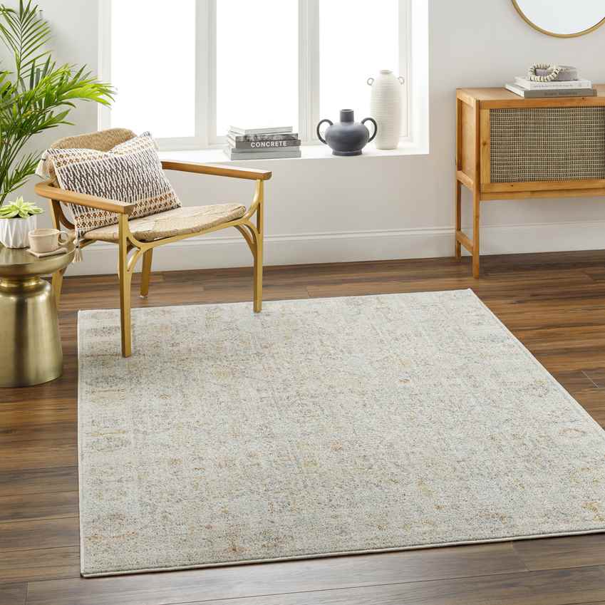 Joylynn Traditional Dusty Sage/Burnt Orange Area Rug