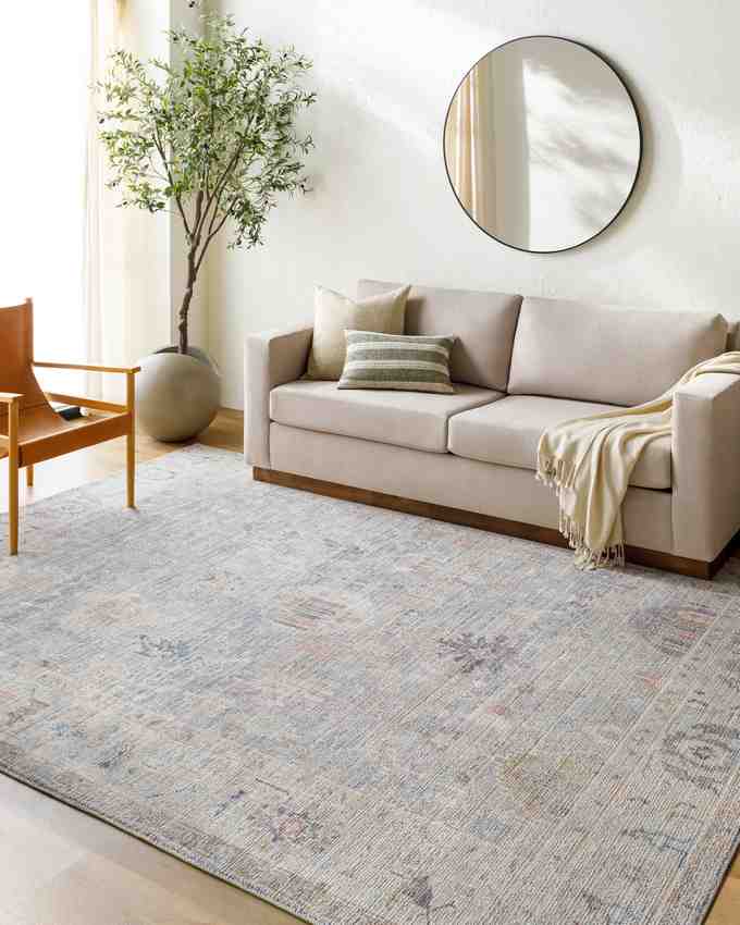 Marlene Traditional Medium Gray/Pale Blue Area Rug – Becki Owens x Livabliss